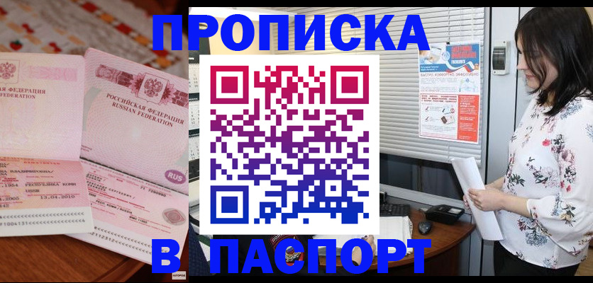 прописка гарантия в Сольцах